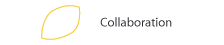 Collaboration