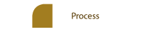 Process