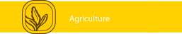 Agriculture