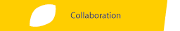 Collaboration